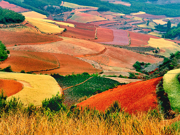 Dongchuan Red Soil