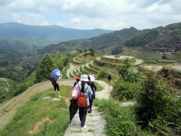 Longji rice terraces hiking
