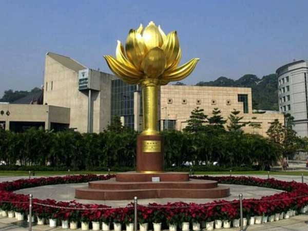 Golden Lotus Square