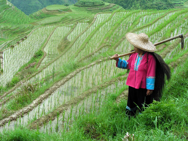 locals in Longji rice terraces