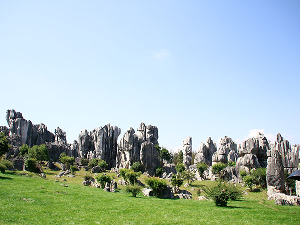 One Day Tour from Kunming to Stone Forest