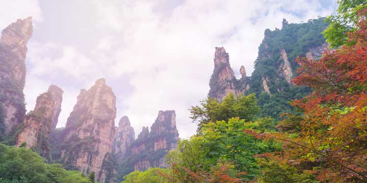 Zhangjiajie National Forest Park-5 days Guangzhou and Zhangjiajie tour